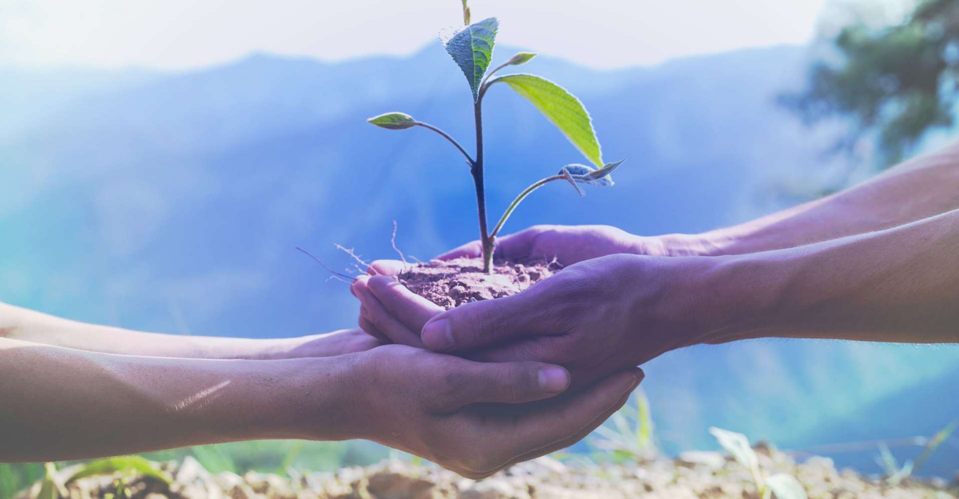 رفاه اجتماعی